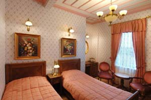 Standard double with city view, private facilities (bath and shower), and breakfast